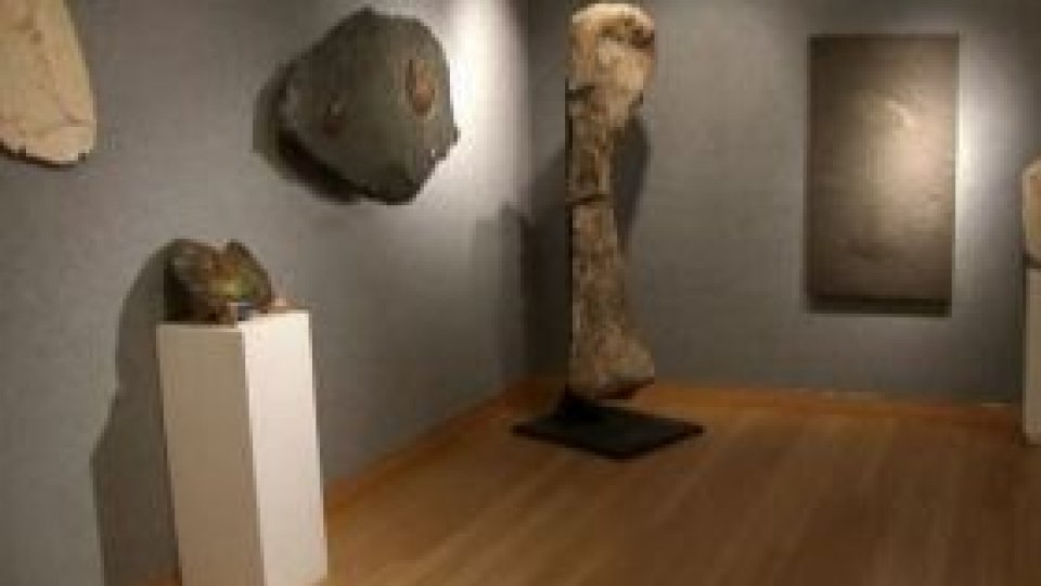 Rezoluţie privind susţinerea actului cultural în România