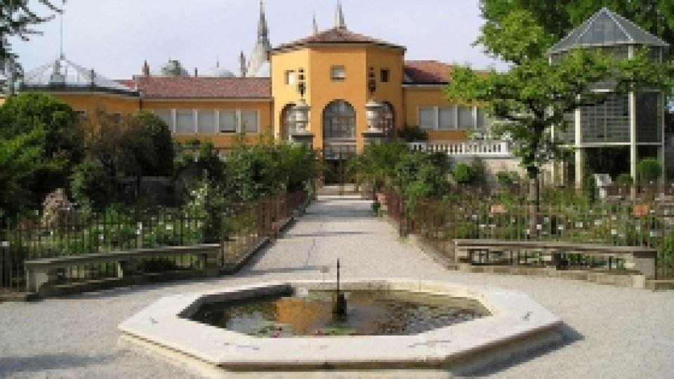 Atracţii europene: Padova