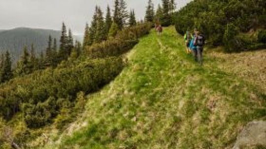 Drum reabilitat după câteva sute de ani