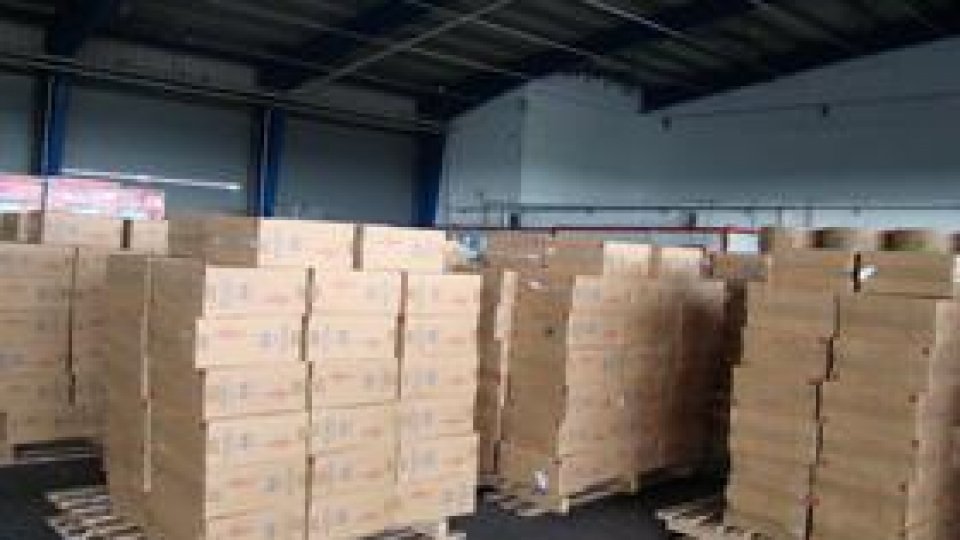 Captură impresionantă în portul Constanţa Sud Agigea