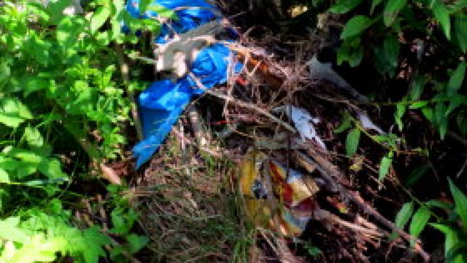 REPORTERII RADIO ROMÂNIA