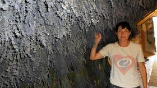 Afacere cu parfum de lavandă