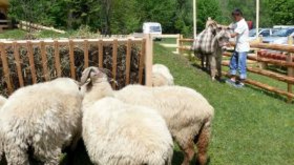 Stânele "nu au ce căuta" în rezervaţiile din parcuri naţionale