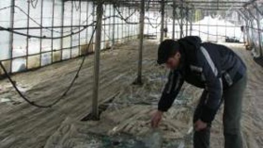 Pagube importante în Harghita din cauza ploilor