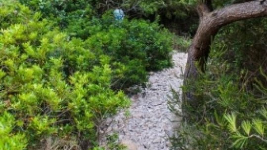 O vorbă bună 199 - Munca de jos nu înjoseşte