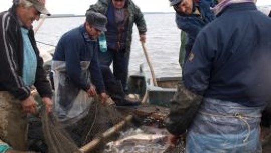 Aproape 800 de kilograme de peşte proaspăt, confiscate în Deltă