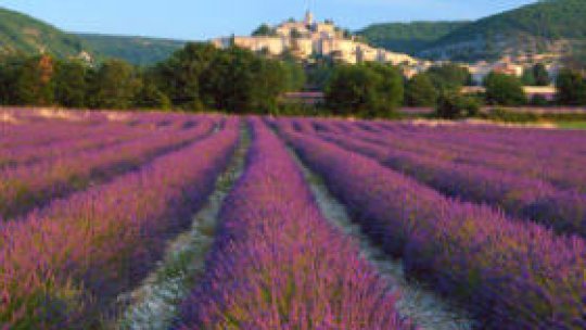 Atracții Europene: Franţa rurală