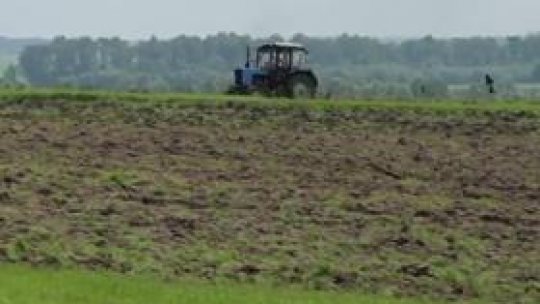 INS: Producţia agricolă a crescut cu 24,5% în 2013 faţă de 2012