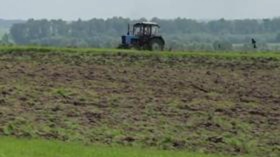 INS: Producţia agricolă a crescut cu 24,5% în 2013 faţă de 2012