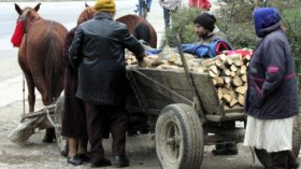 Sistemul de monitorizare a lemnului "va deranja"
