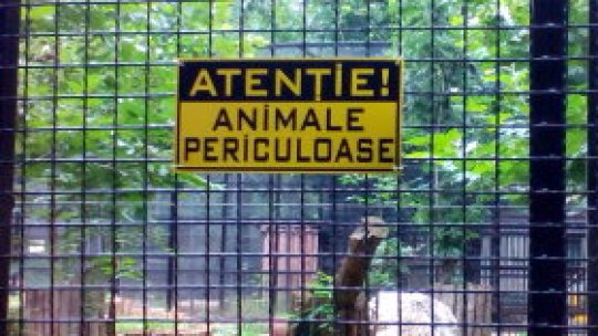 REPORTERII RADIO ROMÂNIA