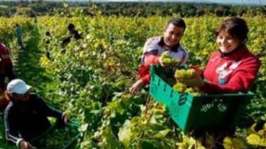 REPORTERII RADIO ROMÂNIA