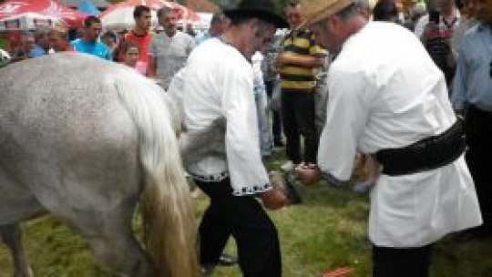 Face potcoave pentru cai vii