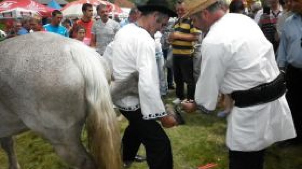 Face potcoave pentru cai vii