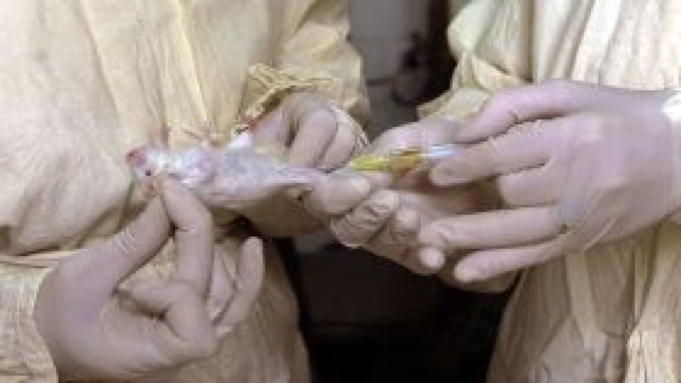 Infestarea cu antrax din Ungaria "nu pune în pericol" românii