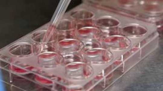 OMS aprobă utilizarea medicamentului ZMapp pentru tratarea Ebola