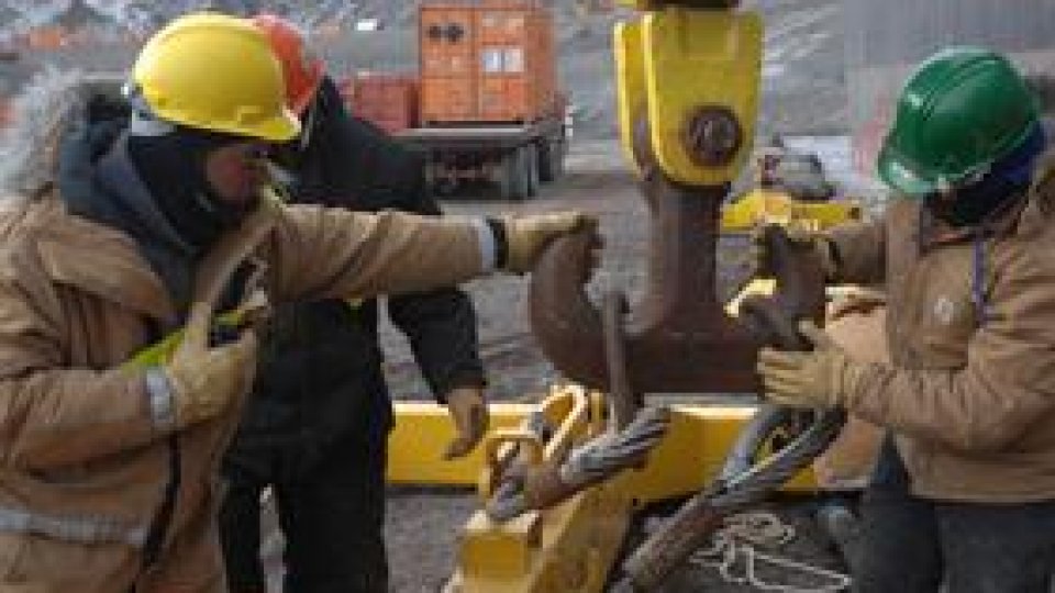 "Gulerele albastre", din ce în ce mai atractive pentru tineri