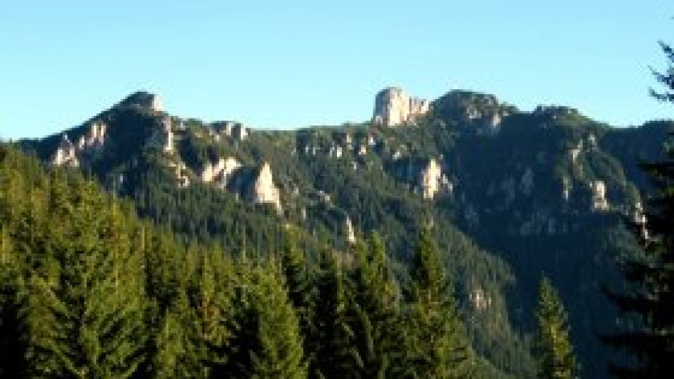 REPORTERII RADIO ROMÂNIA