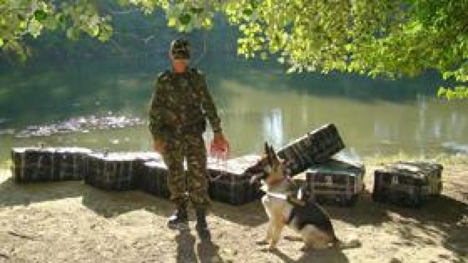 Traficanți de țigări, prinși cu ajutorul câinilor în Botoşani