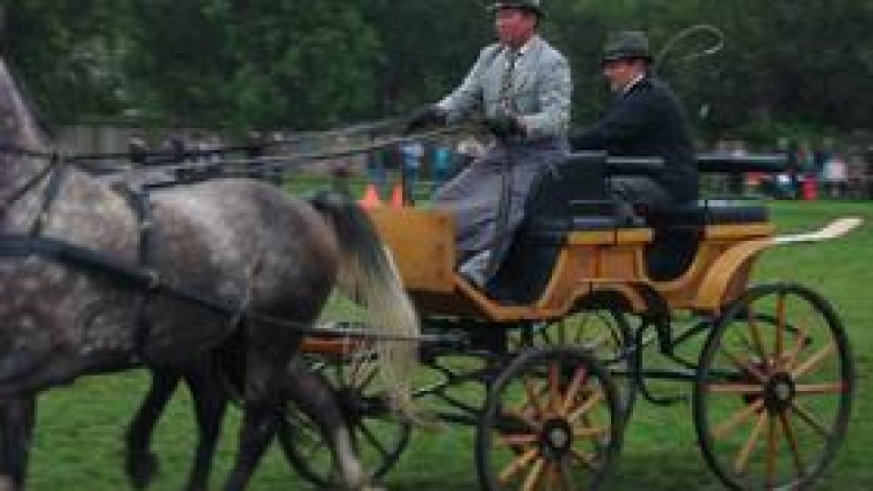 Trăsuri cu ABS, la Crasna în Sălaj