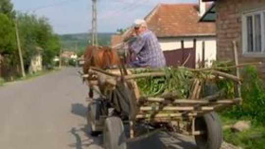 Căruță spulberată de un microbuz