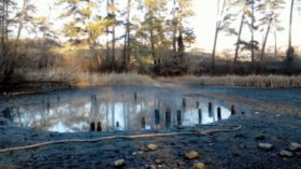 REPORTERII RADIO ROMÂNIA