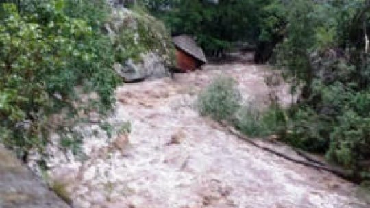 Dezastru în Rezervația de mori de la Rudăria