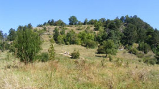 Ziua muntelui Tâmpa va fi sărbătorită mâine, în Piaţa Sfatului