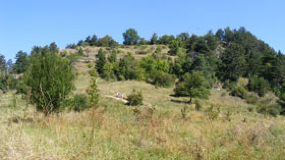 Ziua muntelui Tâmpa va fi sărbătorită mâine, în Piaţa Sfatului