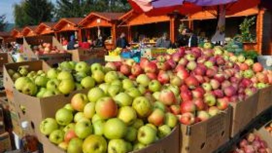 Producţia de fructe "este bună anul acesta"