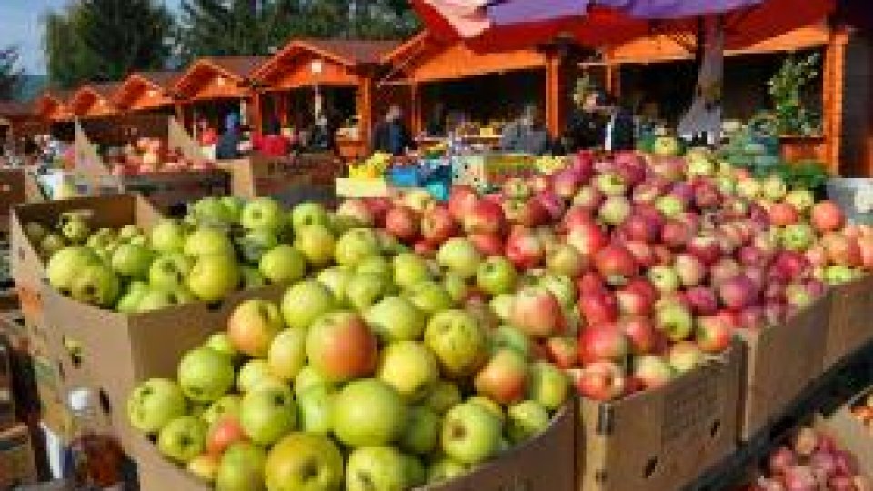 Producţia de fructe "este bună anul acesta"