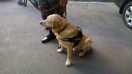 Protocol de colaborare pentru combaterea contrabandei cu țigări