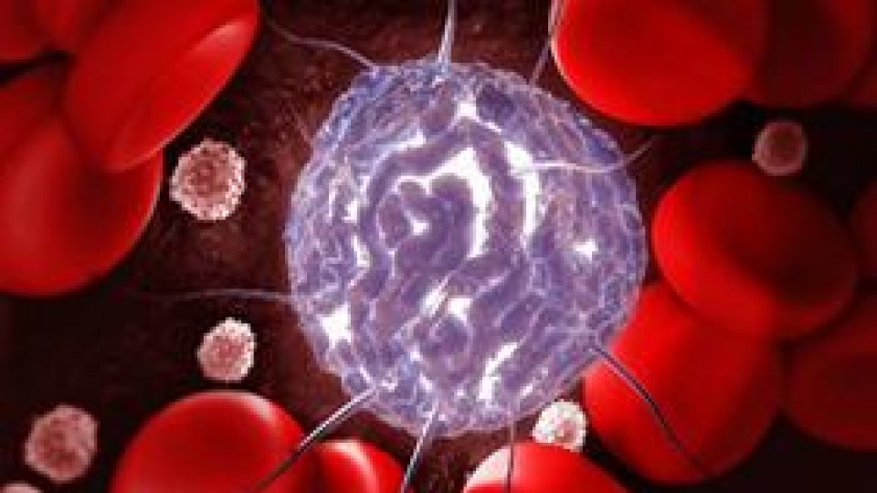 Campanie de promovare a donării de celule stem hematopoietice