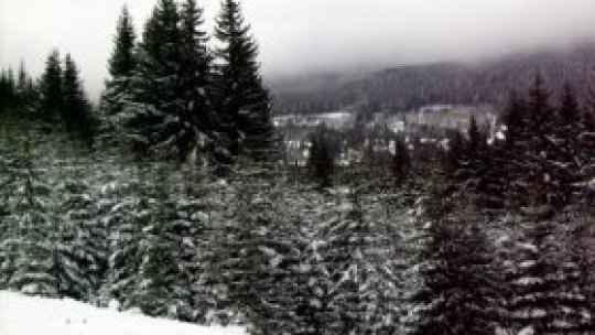 Pregătirile pentru sezonul rece