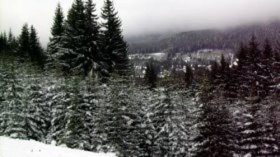 Pregătirile pentru sezonul rece