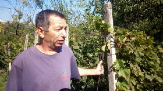 REPORTERII RADIO ROMÂNIA