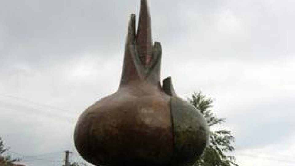 Cultivarea cepei de Pericei, o tradiţie de sute de ani