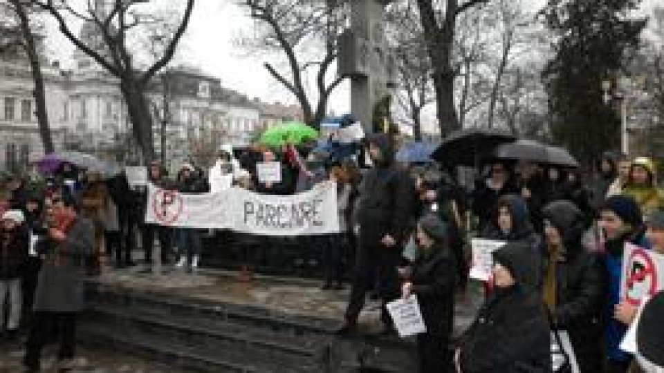 Parcul "Eminescu" din Arad, protejat de societatea civilă