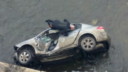 Operațiune spectaculoasă de salvare din Dâmbovița(FOTO)