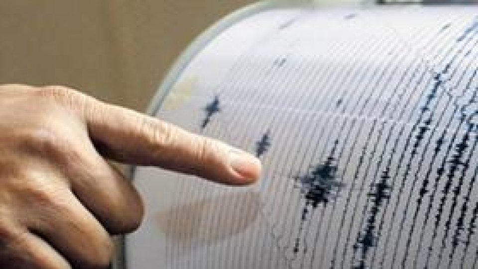 Cutremur de 4,6 grade pe scara Richter, în Vrancea