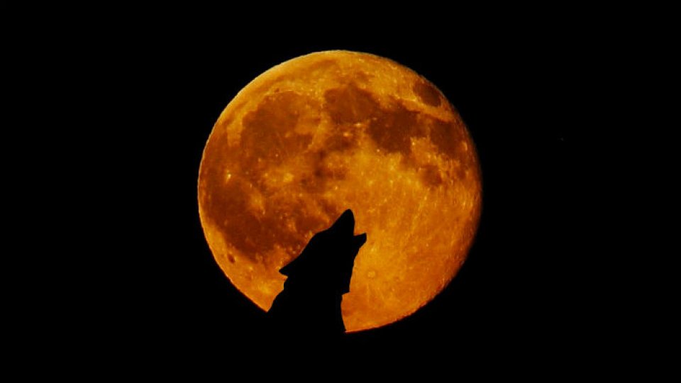 A fost doborât recordul mondial de urlat la Lună