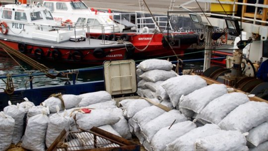 Aproape cinci tone de melci din specia rapană, "pescuiți ilegal"