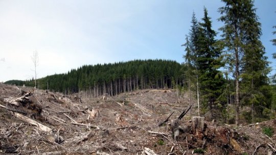 România, în atenţia organizaţii internaţionale de mediu
