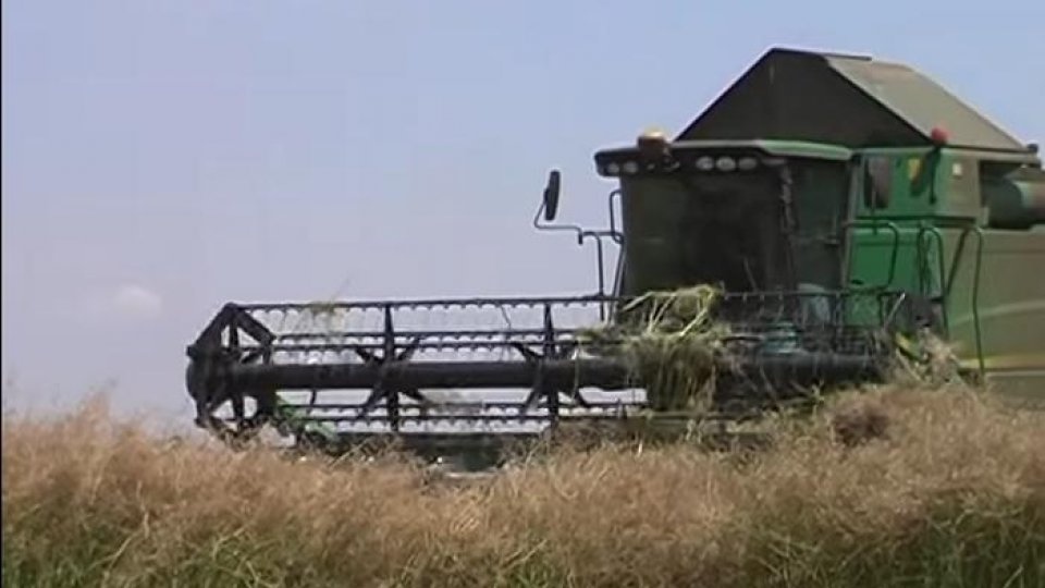 Agricultura, "cele mai multe fonduri" la rectificarea bugetară