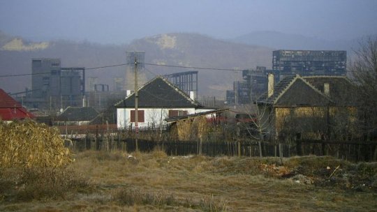 Oraşul Copşa Mică devine din ce în ce mai verde