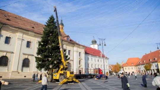 Sibiul are deja brad de Crăciun