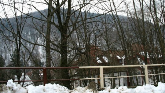 Coloane de mașini pe DN1