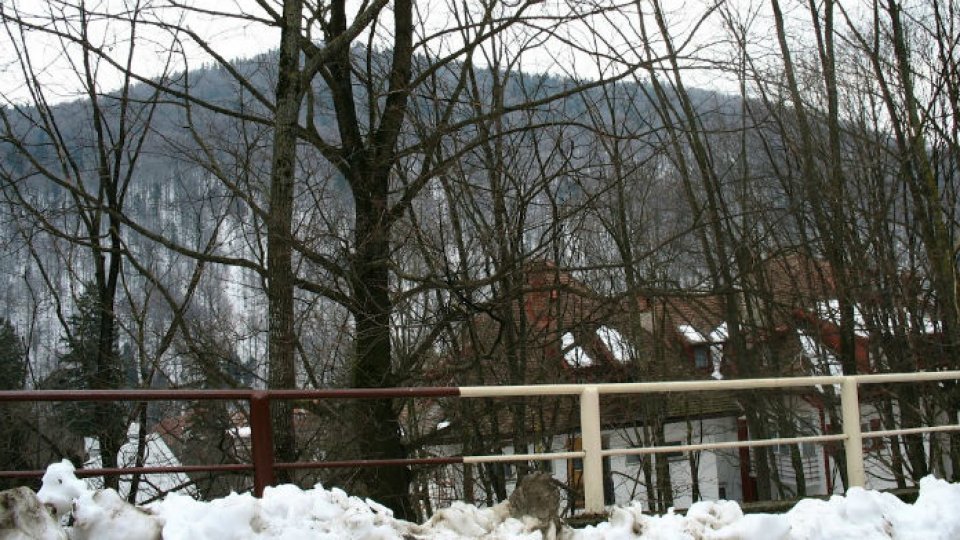 Coloane de mașini pe DN1