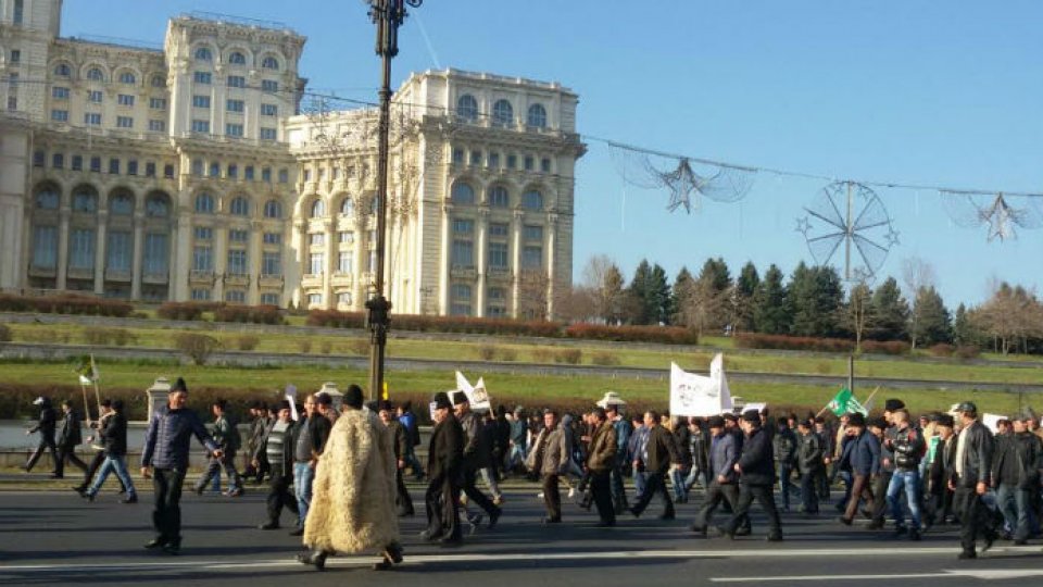 Protest al ciobanilor în fața Palatului Parlamentului