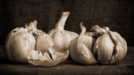 Ierburi și mirodenii - secrete pierdute (III)